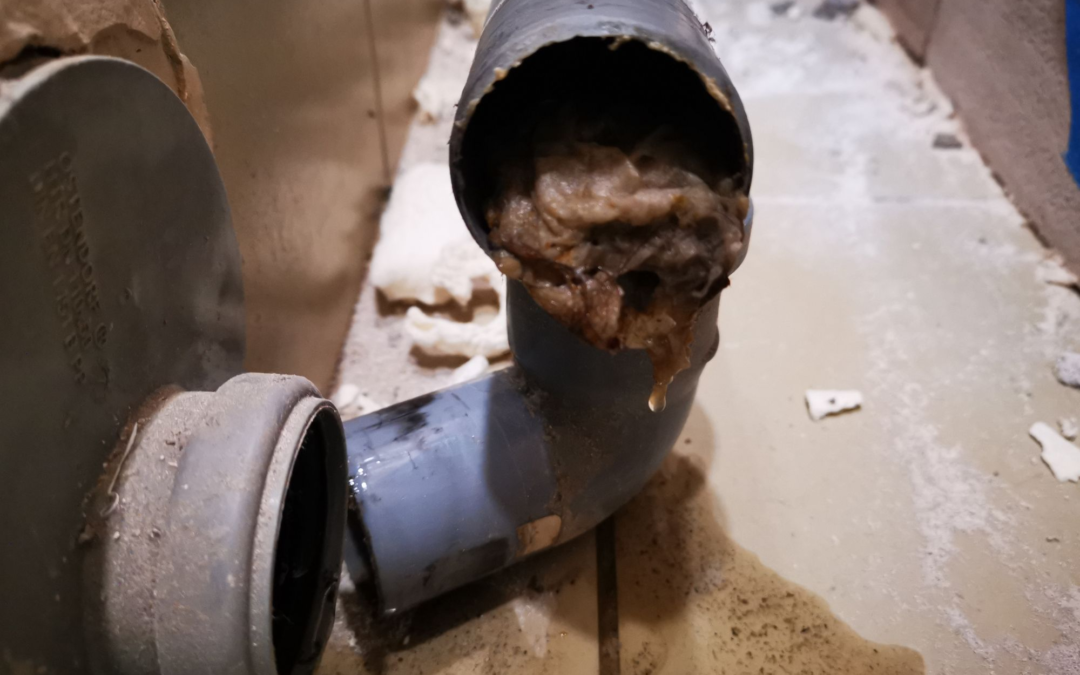 Signs of Sewer Line Blockage: 5 Warning Signs and Solutions